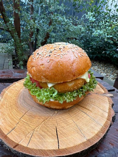 Cheddar cheese burger